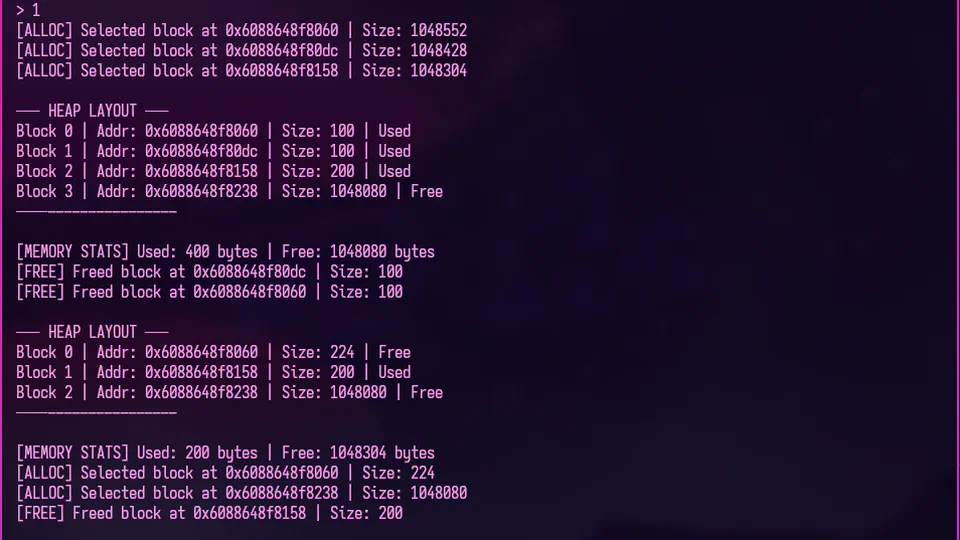 Custom Memory Allocator