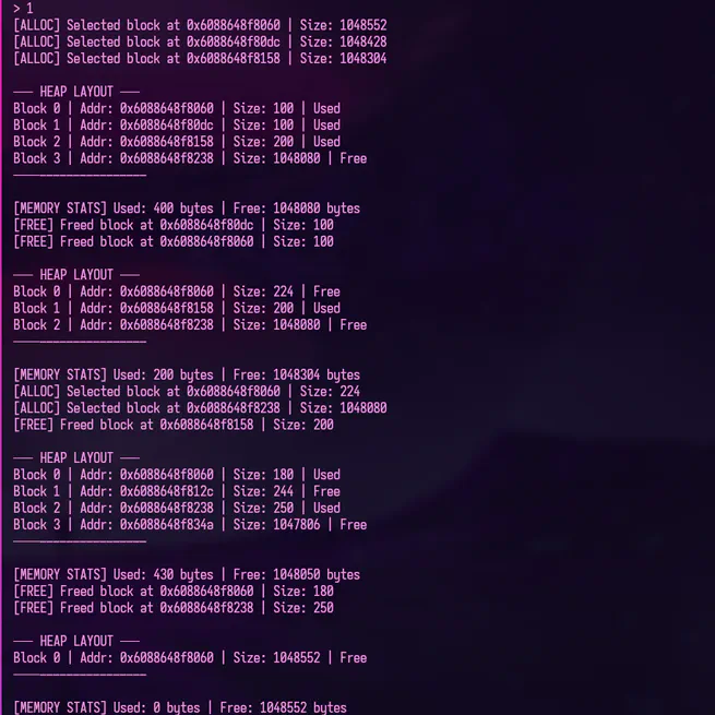 Custom Memory Allocator